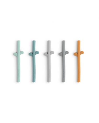Peekaboo silicone straw 5 pack