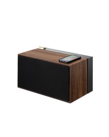 Enceinte PR01 finition noir mat et noyer