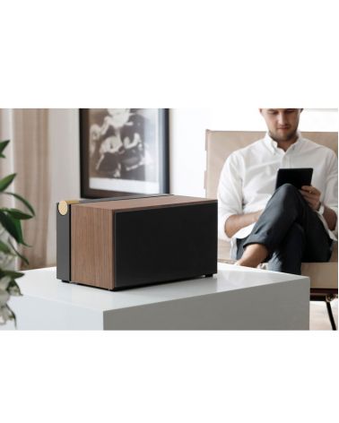 Enceinte PR01 finition noir mat et noyer