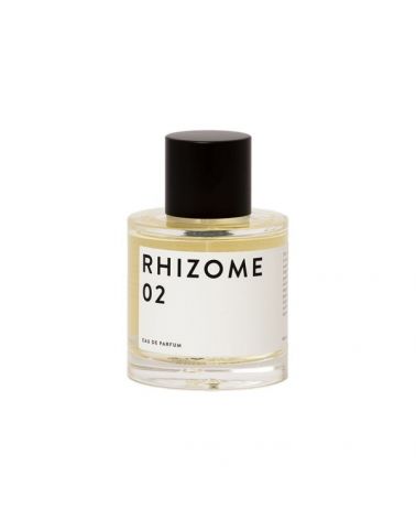 RHIZOME N°2