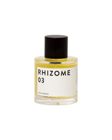 RHIZOME N°3