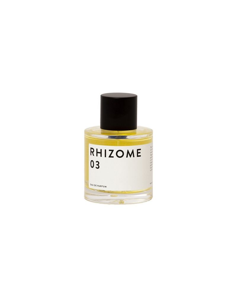 RHIZOME N°3 RHIZOME N°3