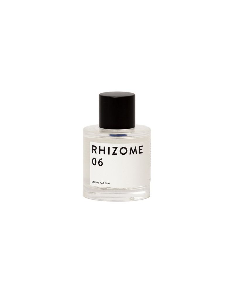 RHIZOME N°6